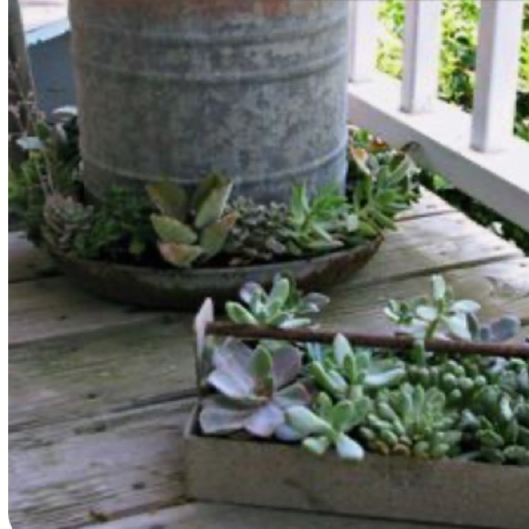 Vintage Other Vintage Galvanized Rustic Metal Bird Feeder Waterer